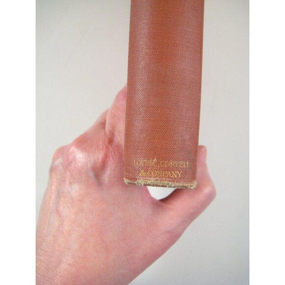 A Daughter Of The Tenements Edward W Townsend 1895 Red Hardcover - Picture 9 of 11